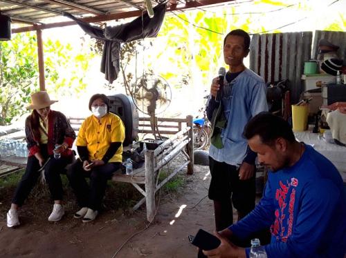 ปลูกต้นไม้