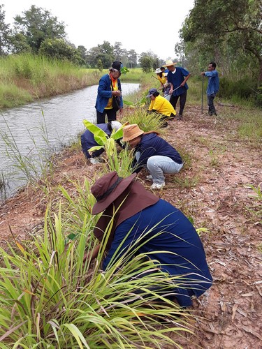 ปลูกต้นไม้