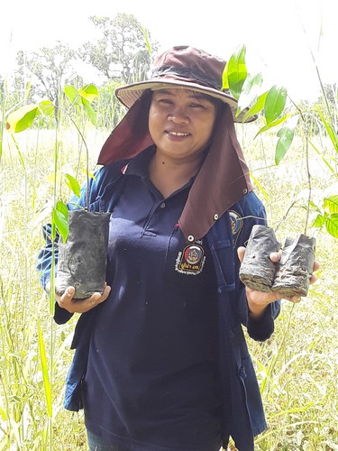 ปลูกต้นไม้