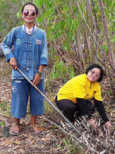 ปลูกต้นไม้