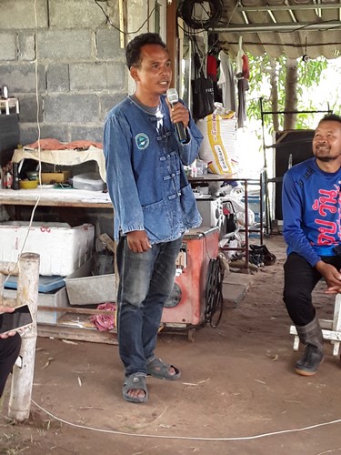 ปลูกต้นไม้