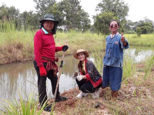 ปลูกต้นไม้