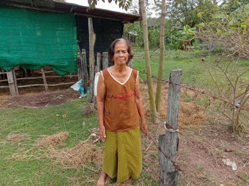 ติดตามการปลูกหม่อนเลี้ยงไหม