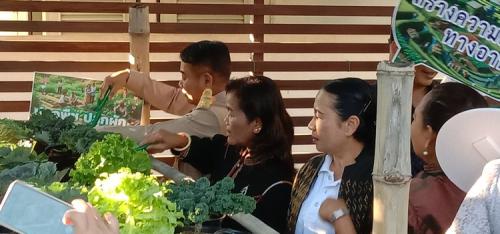 ภาพปลูกผัก ณ จวนผู้ว่าราชการจังหวัดสุรินทร์